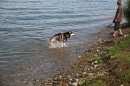 Badewannenrennen-DLRG-Bodman-10-08-2014-Bodensee-Community_SEECHAT_DE-IMG_5693.JPG