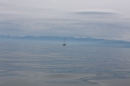 Bodenseequerung-Jacque-250814-Bodensee-Community_SEECHAT_DE-IMG_6250.JPG
