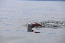 Bodenseequerung-Jacque-250814-Bodensee-Community_SEECHAT_DE-IMG_6254.JPG