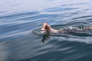 Bodenseequerung-Jacque-250814-Bodensee-Community_SEECHAT_DE-IMG_6283.JPG