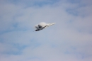 Flugshow-Air-14-Schweiz-Payerne-Bodensee-Community-SEECHAT_DE-IMG_6387.JPG