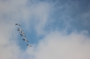 Flugshow-Air-14-Schweiz-Payerne-Bodensee-Community-SEECHAT_DE-IMG_6598.JPG