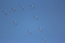 Flugshow-Air-14-Schweiz-Payerne-Bodensee-Community-SEECHAT_DE-IMG_6603.JPG