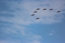 Flugshow-Air-14-Schweiz-Payerne-Bodensee-Community-SEECHAT_DE-IMG_6903.JPG