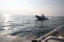 Interboot-Friedrichshafen-250914-Bodensee-Community-Seechat_de-0486.jpg
