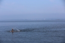 Bodenseequerung-Maex-Beer-Friedrichshafen-260914-Bodensee-Community-SEECHAT_DE-IMG_1948.JPG