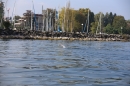 Bodenseequerung-Maex-Beer-Friedrichshafen-260914-Bodensee-Community-SEECHAT_DE-IMG_1968.JPG