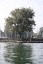 Bodenseequerung-Maex-Beer-Friedrichshafen-260914-Bodensee-Community-SEECHAT_DE-IMG_1974.JPG