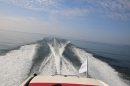 Bodenseequerung-Maex-Beer-Friedrichshafen-260914-Bodensee-Community-SEECHAT_DE-IMG_2004.JPG