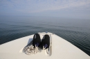 Bodenseequerung-Maex-Beer-Friedrichshafen-260914-Bodensee-Community-SEECHAT_DE-IMG_2011.JPG