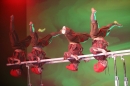 Turngala-Konstanz-29-12-2014-Bodensee-Community-SEECHAT_DE-IMG_5330.JPG