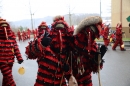 Festumzug-Fasnet-2015-Stockach-Bodensee-Community-SEECHAT_DE-IMG_0056.JPG