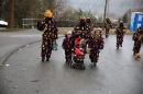 Festumzug-Fasnet-2015-Stockach-Bodensee-Community-SEECHAT_DE-IMG_0357.JPG