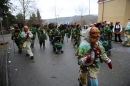 Festumzug-Fasnet-2015-Stockach-Bodensee-Community-SEECHAT_DE-IMG_0384.JPG