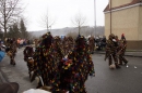 Festumzug-Fasnet-2015-Stockach-Bodensee-Community-SEECHAT_DE-_6_.JPG