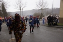 Festumzug-Fasnet-2015-Stockach-Bodensee-Community-SEECHAT_DE-_7_.JPG