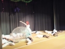 Bandscheibenball-2015-Bad-Buchau-Bodensee-Community-SEECHAT_DE-_212_.JPG