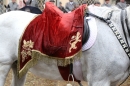 Blutritt-Weingarten-150515-Bodenseecommunity-seechat_de-IMG_7249.jpg