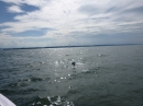 s1-Bodenseequerung-Svenja-Friedrichshafen-240515-Bodensee-Community-SEECHAT_DE-P1020459.JPG