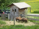 TipiHof-Hoffest-Sauldorf-250515-Bodensee-Community-SEECHAT_DE-P1020549.JPG