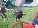 Westernschiessen-Nenzingen-05062015-Bodensee-Community-SEECHAT_DE-P1020595.JPG