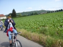 SlowUp-Schaffhausen-Hegau-14-06-2015-Bodensee-Community-seechat-de-P1020669.JPG