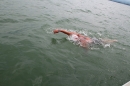 Christof-Wandratsch-Bodensee-Querung-210615-Bodensee-Community-SEECHAT_DE-IMG_6775.JPG
