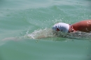 begleitboot-bodenseequerung-mim-alex-04072015-Bodensee-Community-SEECHAT_DE-IMG_4757.JPG