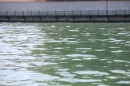 begleitboot-bodenseequerung-mim-alex-04072015-Bodensee-Community-SEECHAT_DE-IMG_4826.JPG