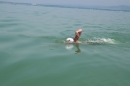 begleitboot-bodenseequerung-mim-alex-04072015-Bodensee-Community-SEECHAT_DE-IMG_7717.JPG
