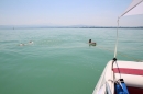 begleitboot-bodenseequerung-mim-alex-04072015-Bodensee-Community-SEECHAT_DE-IMG_7752.JPG