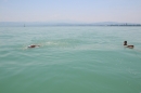 begleitboot-bodenseequerung-mim-alex-04072015-Bodensee-Community-SEECHAT_DE-IMG_7753.JPG