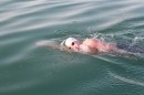 Bodenseequerung-Martin-Fessl-120715-Bodensee-Community-SEECHAT_DE-IMG_9793.JPG
