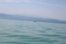 Bodenseequerung-Martin-Fessl-120715-Bodensee-Community-SEECHAT_DE-IMG_9915.JPG