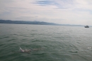 Bodenseequerung-Martin-Fessl-120715-Bodensee-Community-SEECHAT_DE-IMG_9961.JPG