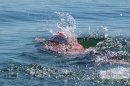 Bodenseequerung-Mim-Schall-030815-Bodensee-Community-SEECHAT_DE-IMG_0874.JPG