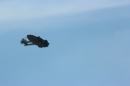 Flugtage-Sitterdorf-9-8-2015-Bodensee-Community-SEECHAT_DE-IMG_7111.JPG