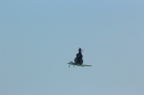 Flugtage-Sitterdorf-9-8-2015-Bodensee-Community-SEECHAT_DE-IMG_7117.JPG