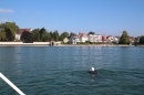 Bodenseequerung-Klaus-Mattes-210815-Bodensee-Community-SEECHAT_DE-IMG_1595.JPG