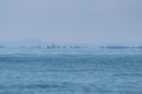 Bodenseequerung-Klaus-Mattes-210815-Bodensee-Community-SEECHAT_DE-IMG_1667.JPG