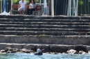 Bodenseequerung-Klaus-Mattes-210815-Bodensee-Community-SEECHAT_DE-IMG_1714.JPG
