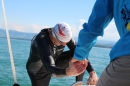 Bodenseequerung-Klaus-Mattes-210815-Bodensee-Community-SEECHAT_DE-IMG_1731.JPG