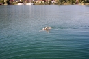 Bodensee-Laengsquerung-270815-Bodenseecommunity-seechat_de--00162.jpg