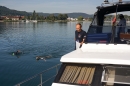 Bodensee-Laengsquerung-270815-Bodenseecommunity-seechat_de--00176.jpg