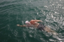 Bodensee-Laengsquerung-Bodman-270815-Bodensee-Community-SEECHAT_DE-IMG_3206.JPG