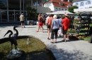 Toepfermarkt-Ueberlingen-290815-Bodensee-Community-SEECHAT_DE-IMG_2001.JPG