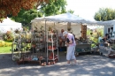 Toepfermarkt-Ueberlingen-290815-Bodensee-Community-SEECHAT_DE-IMG_2008.JPG