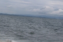 Bodenseequerung-Patrick-Hotz-Friedrichshafen-6915-Bodensee-Community-SEECHAT_DE-IMG_2321.JPG