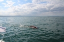 Bodenseequerung-Patrick-Hotz-Friedrichshafen-6915-Bodensee-Community-SEECHAT_DE-IMG_2370.JPG