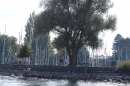 Bodenseequerung-Peggy-Hennings-Friedrichshafen-12915-Bodensee-Community-SEECHAT_DE-IMG_2677.JPG